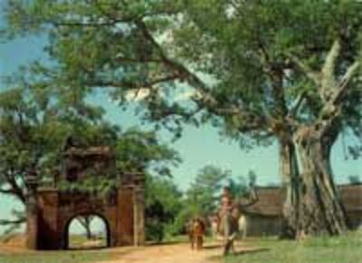 thonlang200.jpg