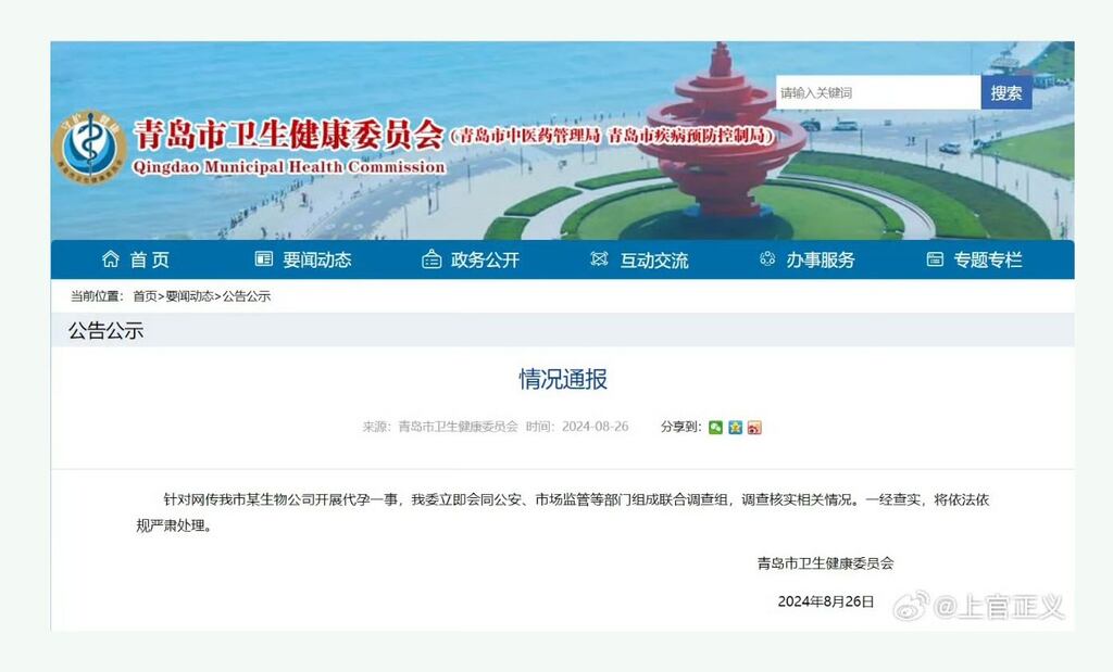 代孕:一个计划生育国度的复杂困境 – 普通话主页