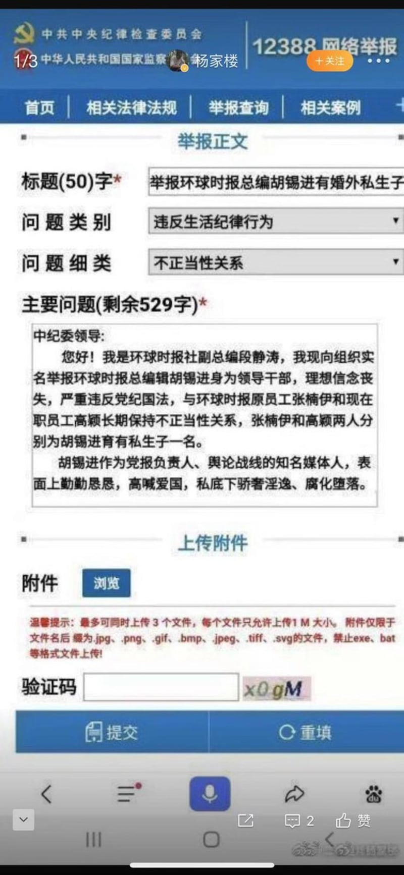 《环球时报》副总编辑段静涛实名向中纪委网站举报总编辑胡锡进与报社职员高颖及英文版前副主编张楠伊长期有不正当关系,还各育有一子。(网站截图)