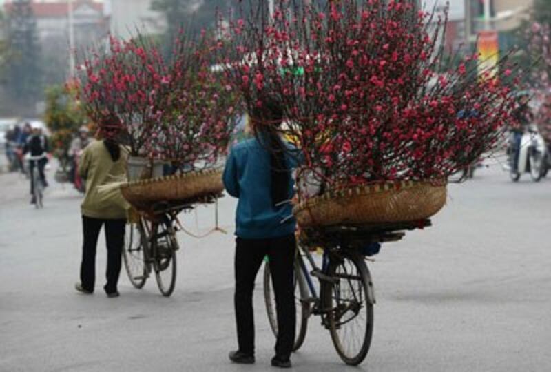 Bán hoa đào dạo ở Hà Nội ngày 13/2/2015. AFP photo
