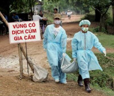Cô lập vùng bị dịch cúm gia cầm
