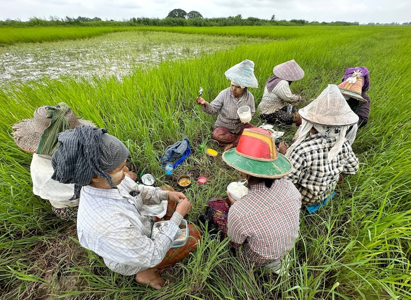 လယ်ယာလုပ်ငန်းလုပ်တဲ့ ရန်ကုန်တိုင်း ဒလမြို့နယ်က လယ်သမားတွေ ထမင်းစားနားနေတာကို ၂၀၂၃ ခုနှစ် ဩဂုတ်လက တွေ့ရစဉ်။ (Photo : RFA)