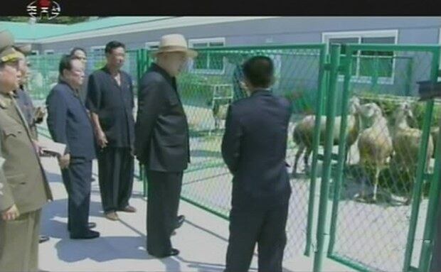 사진은 김정은 노동당 위원장이 평안남도 운곡지구 종합목장을 현지지도 하는 모습.