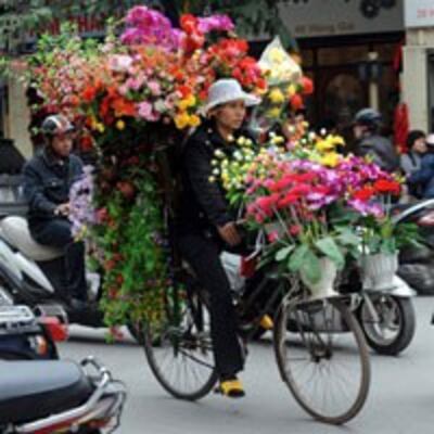 Cô gái bán hoa lưu động trên các đường phố ở Hà Nội vào những ngày cận Tết. AFP