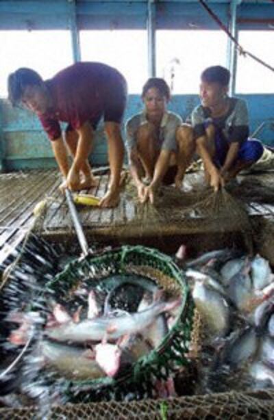 FishFarm_An Giang_200.jpg
