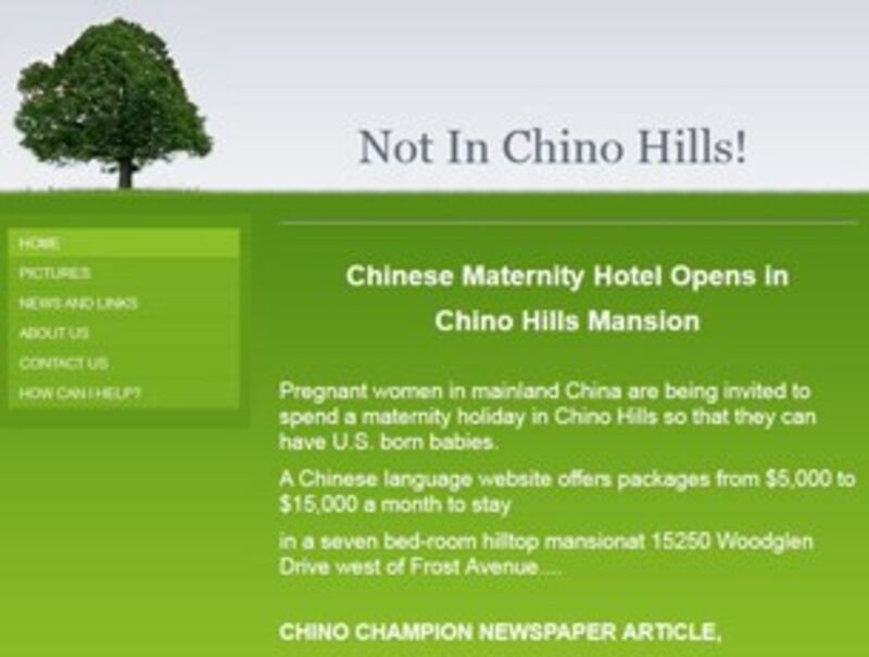 图片:反对月子中心人士架设专属网站,计划持续发起示威行动。 (图片取自该网站)