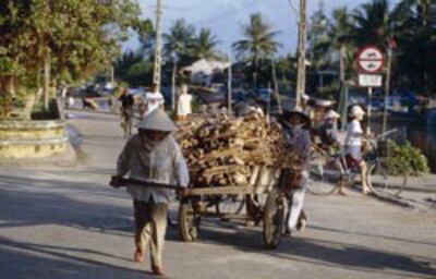 Hai phụ nữ đang đẩy một xe gỗ nặng ở Hội An. AFP photo