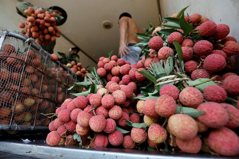 2020-06-12T000000Z_314577725_RC2K7H9J6FPB_RTRMADP_3_VIETNAM-AGRICULTURE.JPG