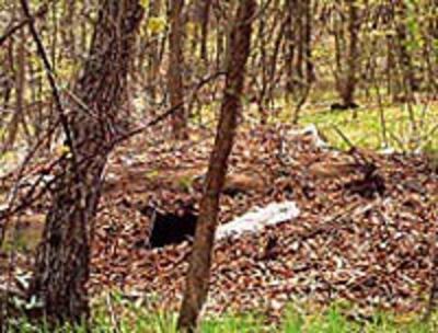 Cave200.jpg