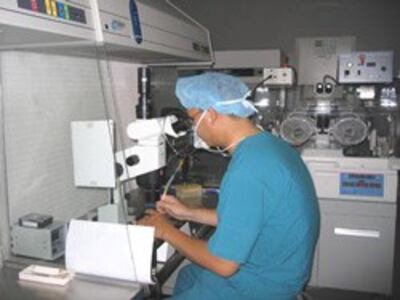 Bác sĩ đang làm xét nghiệm trong quá trình thụ tinh trong ống nghiệm. Photo courtesy of gdsk.net