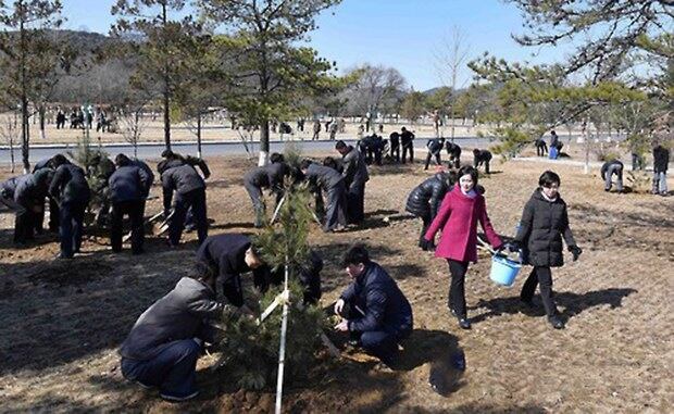 식수절을 맞아 북한 각지에서 봄철나무심기가 진행되고 있다.