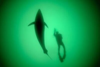Our Ocean- Đại dương của chúng ta (photo NatGeo)