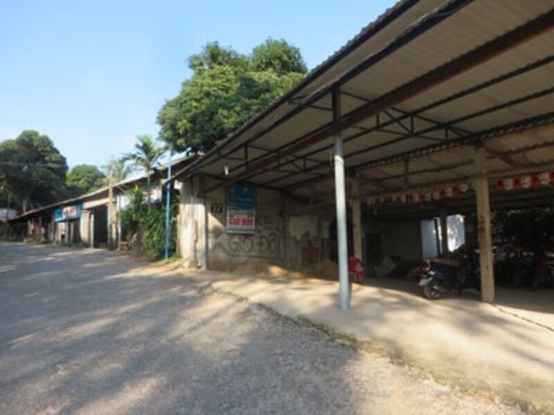 Hai bên đường lên núi Ấn. RFA photo