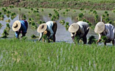 farmers_planting_200px.jpg