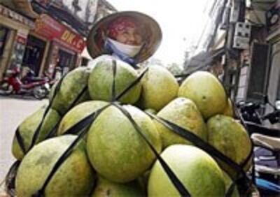 032908_Vietnam_Economic_200.jpg