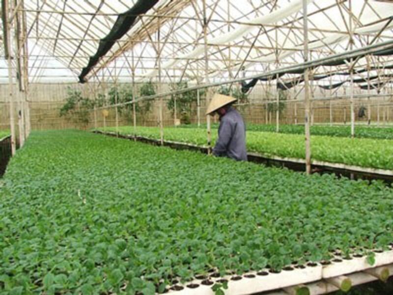 Ảnh minh họa. Photo courtesy of rauqua.com