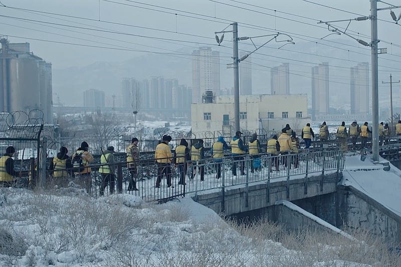 独家:旅德艺术家称拍到新疆“再教育营”劳动场景