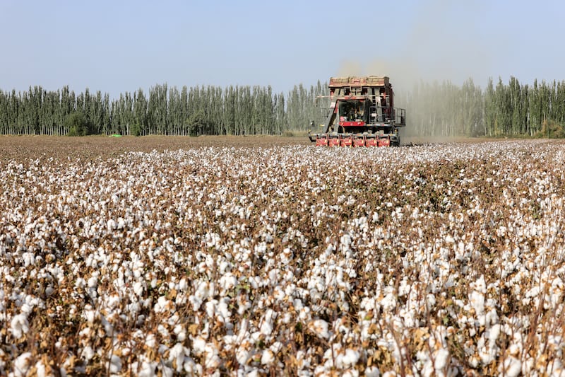 A cotton picker works in a cotton field on Sept. 28, 2025 in Aksu Prefecture, Xinjiang Uyghur Autonomous Region