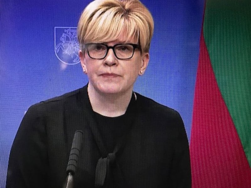 立陶宛总理西蒙尼特(Ingrida Simonyte)对欧盟在中国争端中赢的机会持乐观态度。(蔡凌拍摄在线记者会)