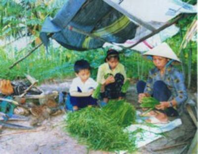 Mẹ con bà Phương lặt hẹ
