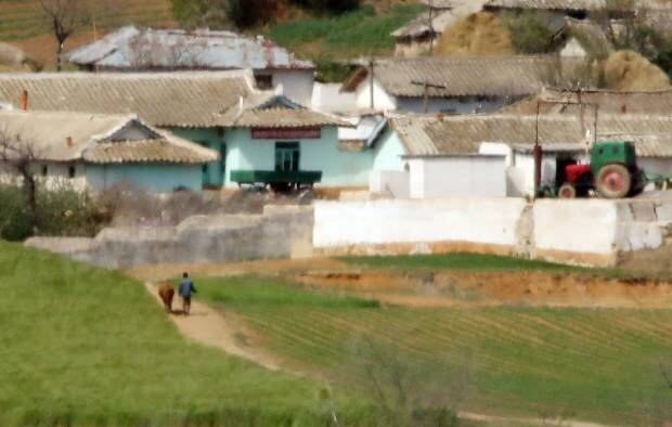지난 21일 인천 강화군 평화전망대에서 바라본 북한 황해북도 개풍군 일대 들녘에서 일을 마친 한 주민이 소와 함께 마을로 돌아가고 있다.