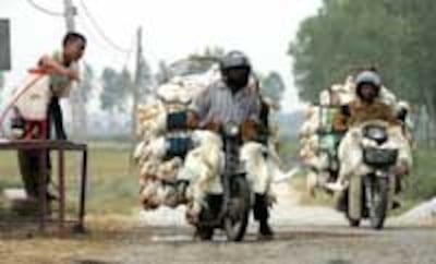 birdflu200.jpg