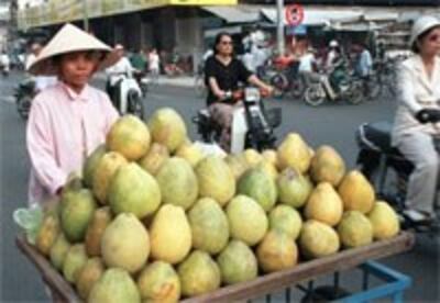 FruitVendor200.jpg