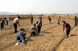 지난 4월 남포시 강서구역 청산협동농장에서 농장 관리일군과 농장원들이 주체농법학습에 참가해 ‘과학농사방법’을 체득하고 있다.