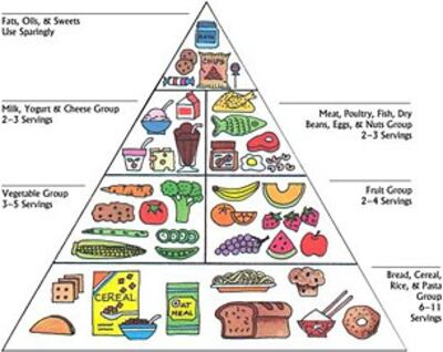 080424-food_pyramid2_305.jpg