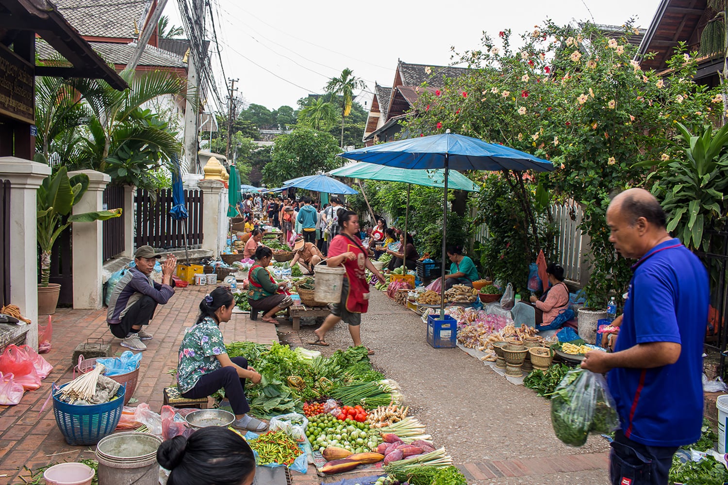 People shop at the fresh market in Luang Prabang, a UNESCO world heritage city in Laos, September 2023.