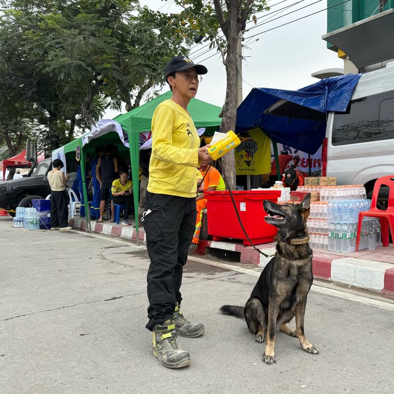 A K-9 dog takes a break during the search and rescue operation at a collapsed government building in Bangkok, March 31, 2025.