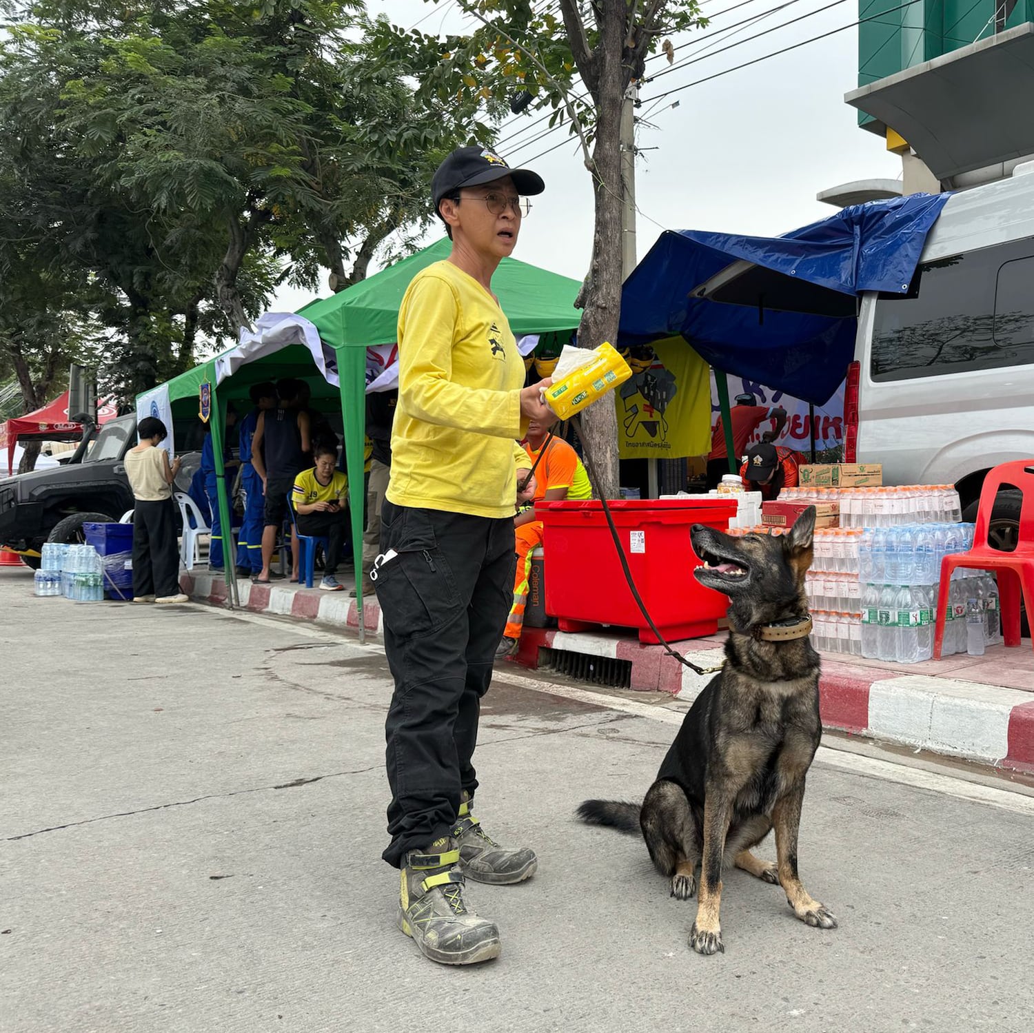 A K-9 dog takes a break during the search and rescue operation at a collapsed government building in Bangkok, March 31, 2025.