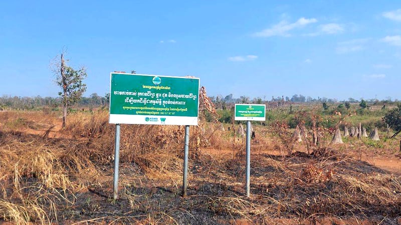 Deforestation_in_Mondulkiri_092124_by_Citizen.jpg