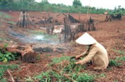 drought_coffee200.jpg