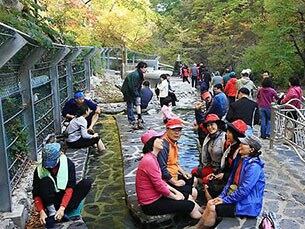 울진이 자랑하는 백암온천과 덕구온천에 온천을 즐기려는 관광객들이 몰리고 있다. 