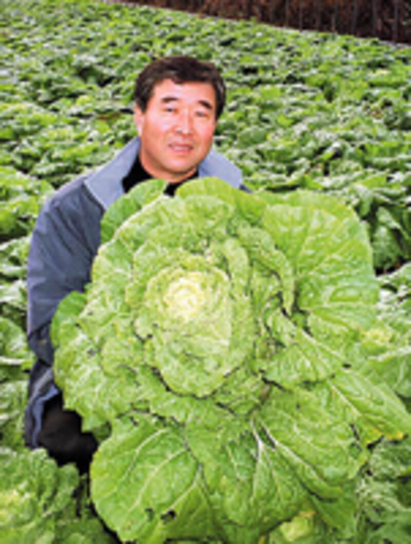 kitin2-200.jpg