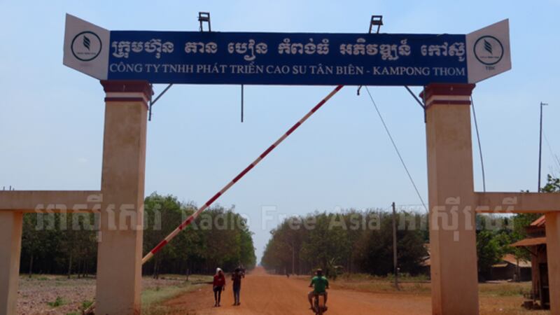 ក្រុមហ៊ុន តាន បៀន (Tan Bien) កំពង់ធំ អភិវឌ្ឍន៍ កៅស៊ូ ឋិត​នៅ​ស្រុក​សន្ទុក ខេត្ត​កំពង់ធំ។ រូបថត​ថ្ងៃ​ទី​៨ ខែ​សីហា ឆ្នាំ​២០១៧។ 