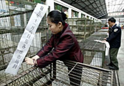 ChinaBirdFlu200.jpg