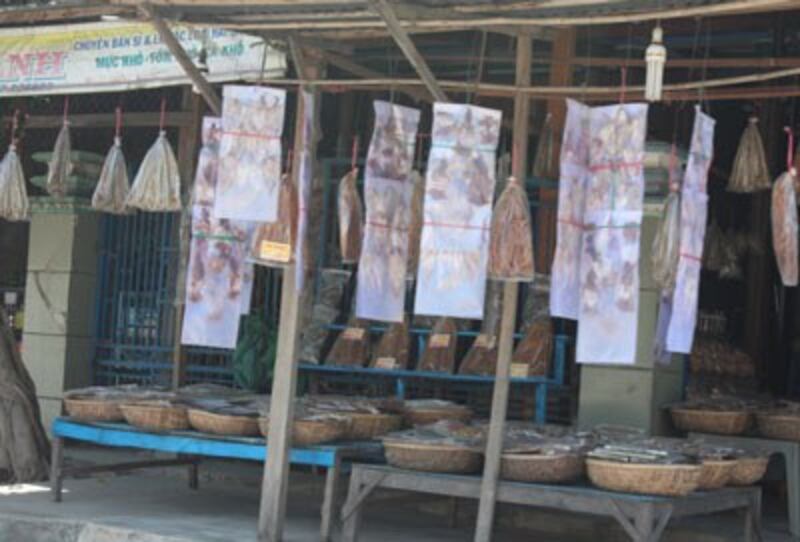 Mực khô, thịt trâu, thịt ngựa, thịt bò khô không rõ nguồn gốc bày bán khắp nơi. RFA PHOTO.