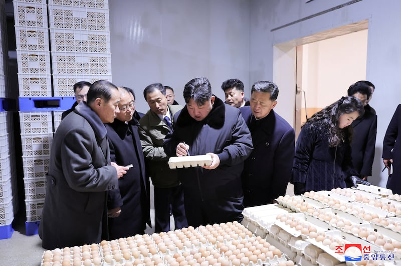 2024년 1월, 김정은 북한 국무위원장과 딸 김주애가 평양 인근의 광천닭공장을 시찰하고 있다.