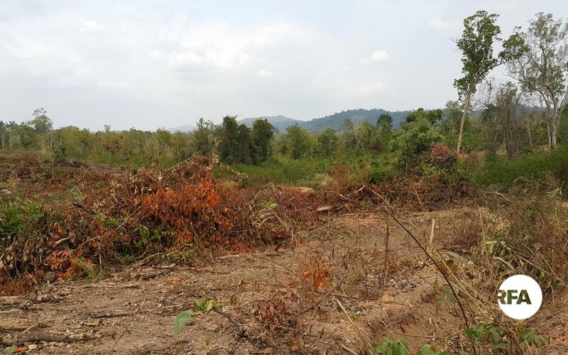 ព្រៃ​ឈើ​ក្នុង​ស្រុក​ឈូក ខេត្ត​កំពត ដែល​ពលរដ្ឋ​អះអាង​ថា ក្រុមហ៊ុន វើធើស ហ្គ្រីន ផ្លេនថេសិន (ខេមបូឌា) ភី.ធី.អ៊ី អិល.ធី.ឌី (VIRTUS GREENS PLANTATIONS (CAMBODIA) PTE LTD ឬ​ហៅ​កាត់​ថា ក្រុមហ៊ុន វី.ជី.ភី (VGP) ទើប​ធ្វើ​ការ​ឈូស​ឆាយ​កាល​ពី​ពេល​ថ្មីៗ​នេះ។ រូបថត​ថ្ងៃ​ទី​២៣ ខែ​កុម្ភៈ ឆ្នាំ​២០១៧។ 