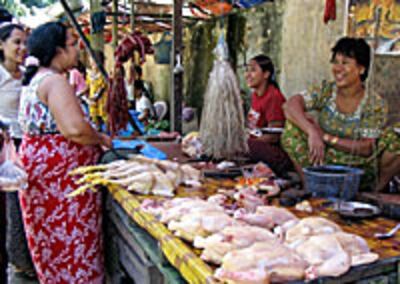 chicken_vendor_B_200px.jpg