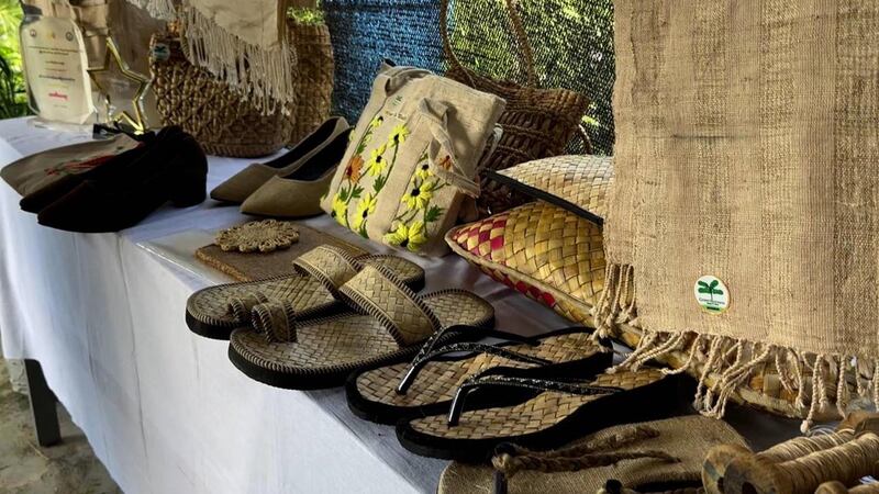 ရန်ကုန်တိုင်း မှော်ဘီမြို့နယ်တွင် Green Banana Myanmar ၏ စွန့်ပစ်ငှက်ပျောပင်မှ ထုတ်လုပ်ထားသည့် တန်ဖိုးမြင့်ထုတ်ကုန်များကို ၂၀၂၄ ခုနှစ်၊ အောက်တိုဘာလ ၁၉ ရက်နေ့က တွေ့ရစဥ်။ (RFA Photo)
