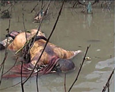 murdered_monk_200px.jpg