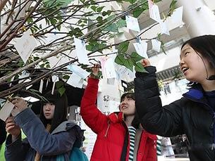 서울 마포구청에서 열린 '마포진로박람회'에서 학생들이 자신의 명함을 소망나무에 걸고 있다.