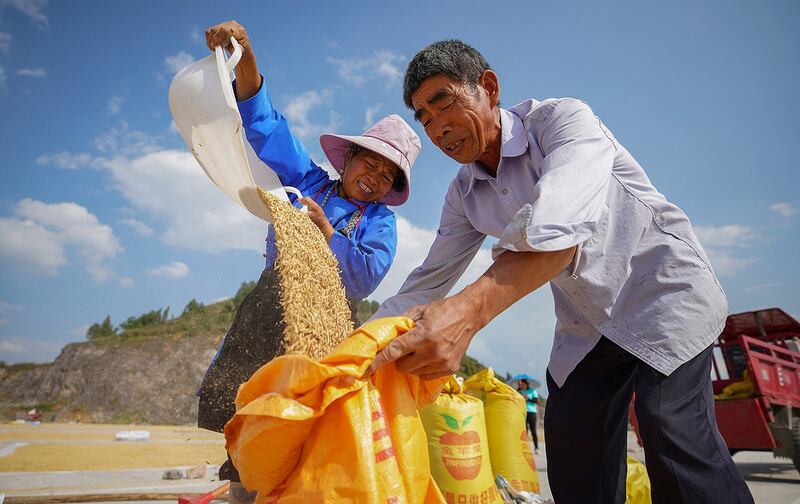 目前全球大米价格处于近10年的最高水平,圣婴年可能进一步推高米价。(法新社)
