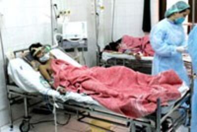 Birdflu_victim200.jpg