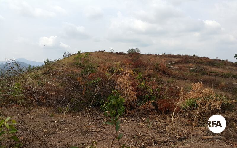 ទី​ទួល​ក្នុង​ស្រុក​ឈូក ខេត្ត​កំពត ដែល​ពលរដ្ឋ​អះអាង​ថា ក្រុមហ៊ុន វើធើស ហ្គ្រីន ផ្លេនថេសិន (ខេមបូឌា) ភី.ធី.អ៊ី អិល.ធី.ឌី (VIRTUS GREENS PLANTATIONS (CAMBODIA) PTE LTD ឬ​ហៅ​កាត់​ថា ក្រុមហ៊ុន វី.ជី.ភី (VGP) ទើប​ធ្វើ​ការ​ឈូស​ឆាយ​កាល​ពី​ពេល​ថ្មីៗ​នេះ។ រូបថត​ថ្ងៃ​ទី​២៣ ខែ​កុម្ភៈ ឆ្នាំ​២០១៧។ 