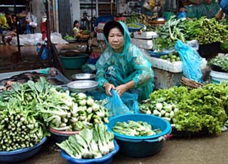 ស្រ្តី​លក់​បន្លែ​នៅ​ក្នុង​ផ្សារ​មួយ​កន្លែង​នៅ​ទីក្រុង​ភ្នំពេញ។ កាល​ពី​ថ្ងៃ​ទី​៨ តុលា ២០០៨ ធនាគារ​អភិវឌ្ឍន៍​អាស៊ី​បាន​ផ្ដល់​ប្រាក់ ៣៥​លាន​ដុល្លារ​ដល់​កម្ពុជា​សម្រាប់​ជំនួយ​ស្បៀង​អាហារ​បន្ទាន់។