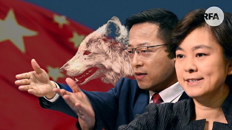 中国外交官的“战狼式”姿态（自由亚洲电台制图）